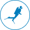 غواصی