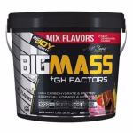 پودر کربوهیدرات BigJoy BigMass GH Mix (گینر) ۵ کیلوگرم