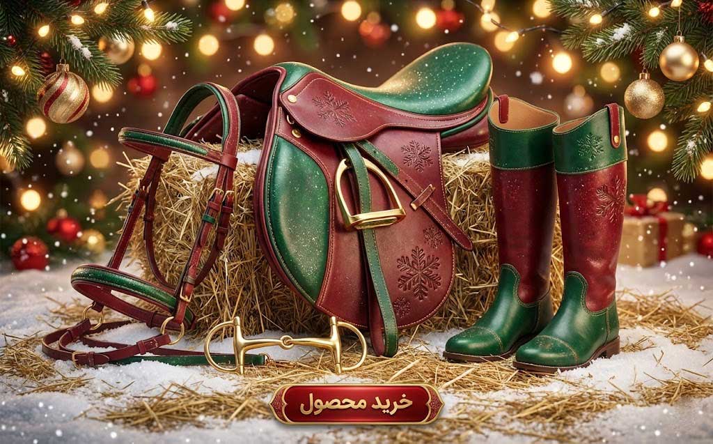 تجهیزات سوار کاری